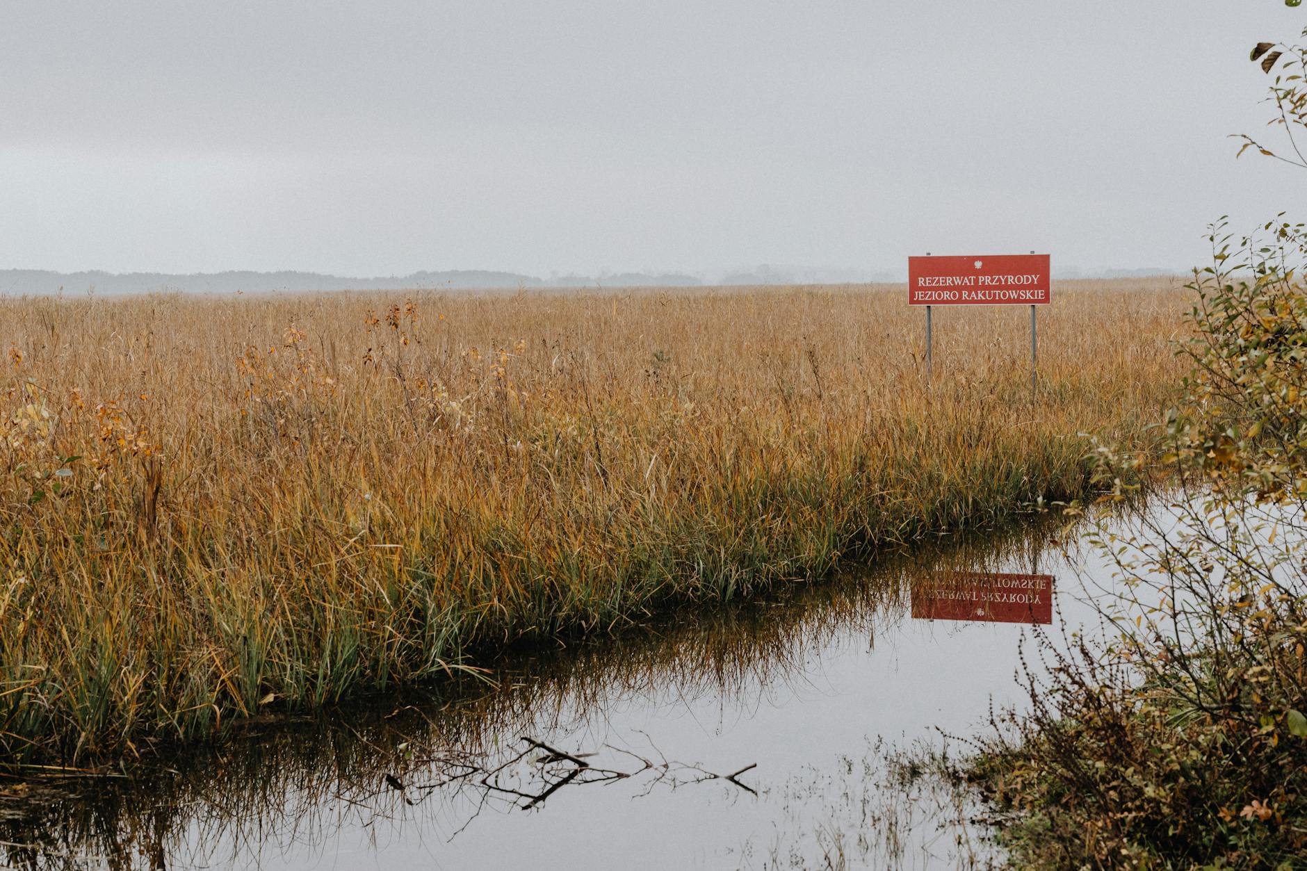 Giżycko 2001: portowe miasto u progu zmian